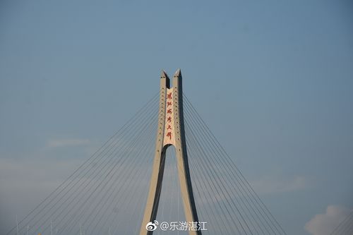 湛江什么